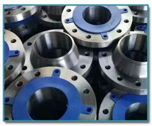 Hastelloy flanges